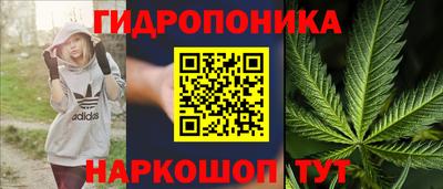 герыч Дубна