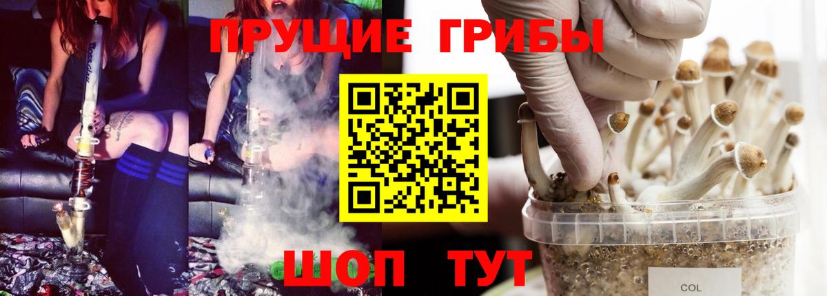 Псилоцибиновые грибы прущие грибы Киров